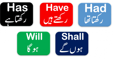 Use of Has, Have, Had with Urdu Translation - 50 Sentences of daily used for spoken English for beginners Download PDF free, Basic English lessons in Urdu, Spoken English lessons with Urdu meanings, English lessons for beginners in Urdu, English for basic level in Urdu, English Sentences in Urdu