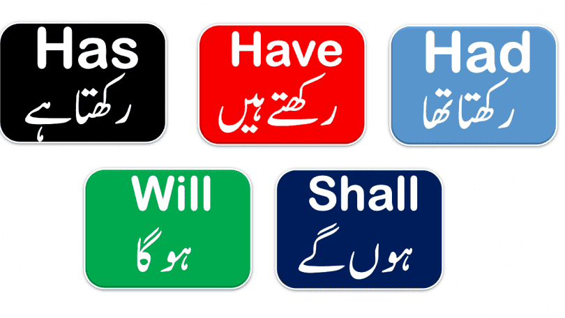 Use of Has, Have, Had with Urdu Translation - 50 Sentences of daily used for spoken English for beginners Download PDF free, Basic English lessons in Urdu, Spoken English lessons with Urdu meanings, English lessons for beginners in Urdu, English for basic level in Urdu, English Sentences in Urdu