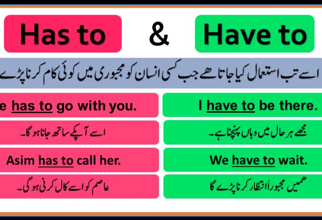 use of has have sentences in urdu