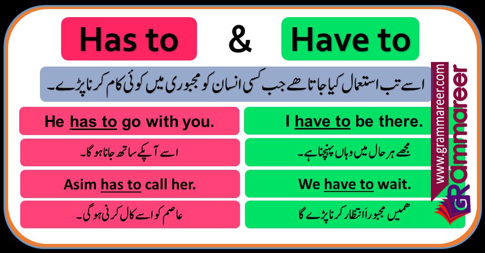 Use of Have To and Has To in English and Urdu