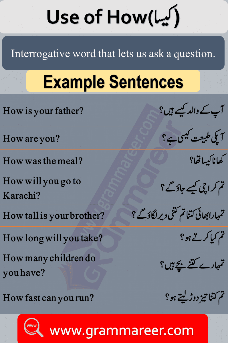Wh Question Words With Urdu Meanings Pdf Grammareer Wh Question Words With Urdu Meanings Pdf Grammareer