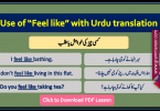 Feel like with Urdu translation, Basic English Lessons in Urdu, English to Urdu grammar, Grammar lessons PDF, Use of structures
