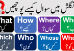 Wh Question Words with Urdu Meanings, what, when, where, why, who, whose, whom, Whenever, Whatever, Wherever, Whichever, whoever use in English with Urdu translation