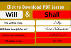 Use of Will and Shall with Urdu Translation - 50 Sentences, Basic English Grammar with Urdu Translation, Daily used English Grammar, Learn English grammar in Urdu, English to Urdu Grammar Learning, English Grammar lessons with Urdu, Useful English Structures in Urdu,