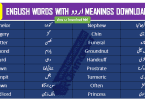 English Vocabulary List in Urdu for all levels Download PDF, English Vocabulary with Urdu meanings for all levels with PDF contains more than 2000 English words with Urdu meanings for all levels of learners. This lesson is about multiple topics English vocabulary with Urdu Meanings and PDF