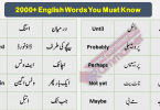 Basic English Vocabulary Words in Urdu,2000 Urdu words, List of Beginners English Words with Urdu meanings, Spoken English Course Pakistan, English Urdu Course Pakistan, Online English Course Pakistan, English with Sir Asim, English with Sir Qasim