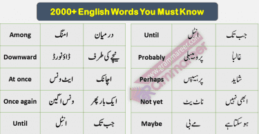 Basic English Vocabulary Words in Urdu,2000 Urdu words, List of Beginners English Words with Urdu meanings, Spoken English Course Pakistan, English Urdu Course Pakistan, Online English Course Pakistan, English with Sir Asim, English with Sir Qasim