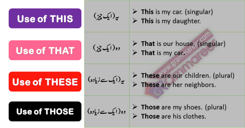 This, That, These and Those in Urdu translation PDF this basic English grammar in Urdu lesson about learning use of this, that, these and those with Urdu translation and example sentences used in daily life. English speaking course in Urdu