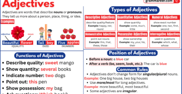 Examples of adjectives with types in English grammar