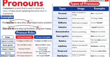 Illustration showing pronouns (he, she, it, they) replacing nouns in sentences.