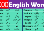 English Urdu Words List For Spoken English, Common Urdu words used in daily life,Urdu to English dictionary download, english to urdu vocabulary book,Urdu vocabulary words list PDF,1000 English words with Urdu meaning,English vocabulary words with meanings in Urdu list PDF,English vocabulary words with Urdu meaning download free,Urdu vocabulary for o levels