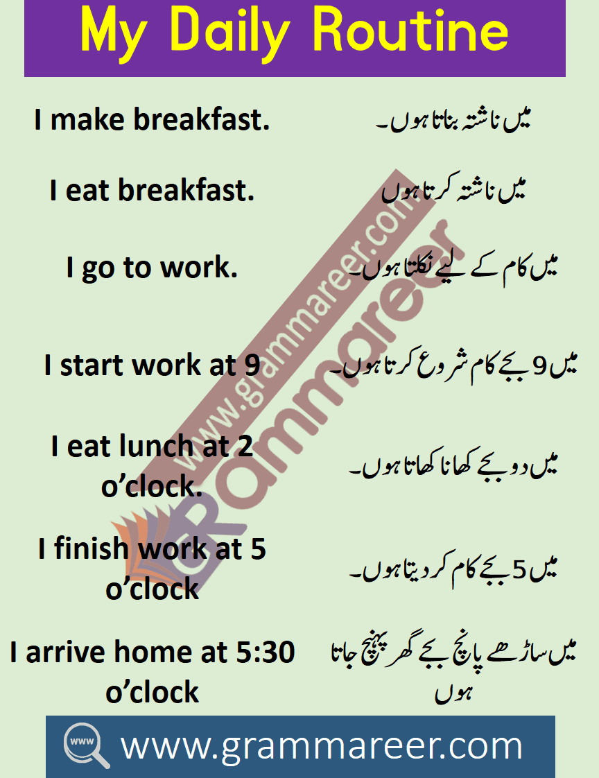 daily schedule essay