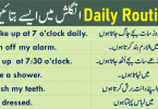 My Daily Routine in English with Urdu & Hindi Translation Learn 20 sentences to describe your daily routine activities in English with Urdu and Hindi translation.