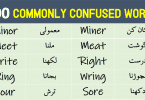 Commonly Confused Words List with Urdu Meanings Get PDF Book Learn Pair of words with Urdu and Hindi Meanings PDF Book Homophones in Urdu and Hindi Meanings