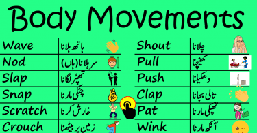 Body Movement Verbs in English with Urdu Meanings, Body actions in Urdu and Hindi, Body movements vocabulary