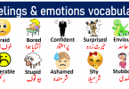 Feelings and Emotions Vocabulary List with Urdu Meanings get PDF Book Learn useful emotions vocabulary words and feeling vocabulary words with pictures for enhancing your English vocabulary