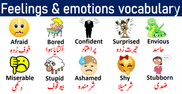 Feelings and Emotions Vocabulary List with Urdu Meanings get PDF Book Learn useful emotions vocabulary words and feeling vocabulary words with pictures for enhancing your English vocabulary