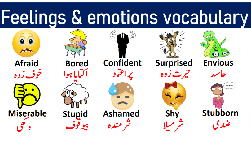 Feelings and Emotions Vocabulary List with Urdu Meanings get PDF Book Learn useful emotions vocabulary words and feeling vocabulary words with pictures for enhancing your English vocabulary