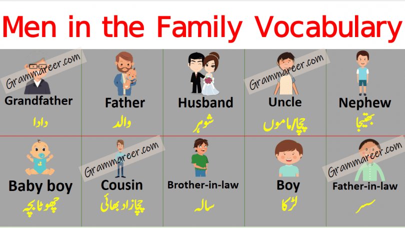 Men in the Family Vocabulary with Urdu Meanings learn male members names in family with Urdu and Hindi meanings for improving your English vocabulary.