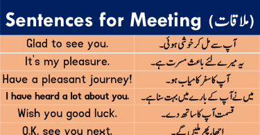 Sentences About Meeting with Urdu or Hindi Translation learn English sentences for meeting and parting with Urdu and Hindi translation for improving your English speaking skills.