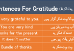 Sentences For Gratitude with Urdu Translation download PDF Book learn different ways to say "thank you" with Urdu and Hindi translation for improving your English speaking skills.