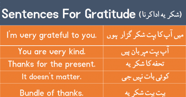 Sentences For Gratitude with Urdu Translation download PDF Book learn different ways to say "thank you" with Urdu and Hindi translation for improving your English speaking skills.
