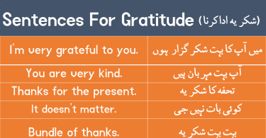 Sentences For Gratitude with Urdu Translation download PDF Book learn different ways to say "thank you" with Urdu and Hindi translation for improving your English speaking skills.