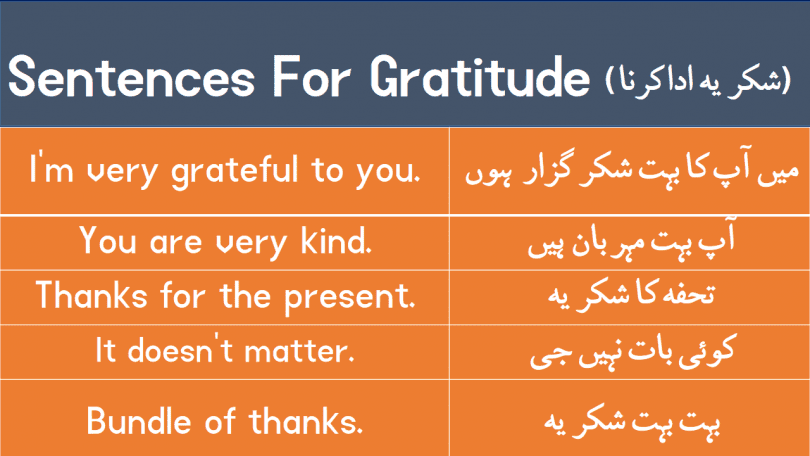 Sentences For Gratitude with Urdu Translation download PDF Book learn different ways to say "thank you" with Urdu and Hindi translation for improving your English speaking skills.