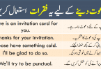 Sentences for Invitation with Urdu or Hindi Translation learn common English sentences for inviting someone on a special day like a party, anniversary and others with Urdu and Hindi Translation.