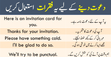 Sentences for Invitation with Urdu or Hindi Translation learn common English sentences for inviting someone on a special day like a party, anniversary and others with Urdu and Hindi Translation.