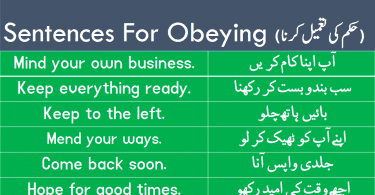 Sentences For Obeying the Order with Urdu Translation learn useful English sentences about obeying the order with Urdu and Hindi translation for improving your English speaking skills.