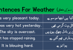 Sentences For Weather and Climate with Urdu or Hindi learn useful English Sentences about climate and weather with Hindi and Urdu translation for improving your English speaking skills.