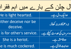 Sentences about Character with Urdu Translation learn common English sentences about personality and character with Urdu and Hindi translation.