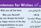 Sentences For Wishing with Urdu Translation download PDF Book learn English sentences and different ways to wish someone on a special day with Urdu and Hindi translation for improving your English speaking.