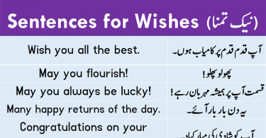 Sentences For Wishing with Urdu Translation download PDF Book learn English sentences and different ways to wish someone on a special day with Urdu and Hindi translation for improving your English speaking.