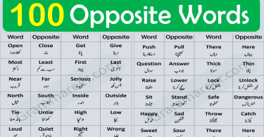 200 opposite words in English PDF, Opposite words in English, 100 Opposite words in English with PDF, Most commonly used opposite words in English