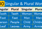 100 Singular and Plural Words List in English