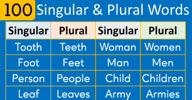 100 Singular and Plural Words List in English