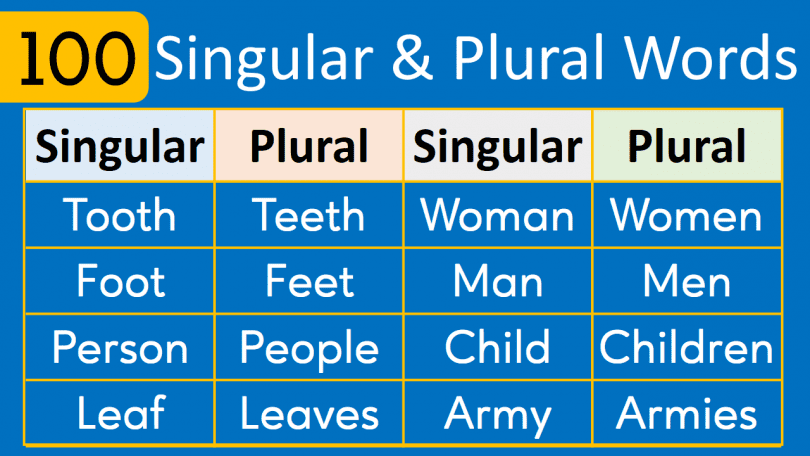 100 Singular and Plural Words List in English