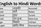 English Words Commonly Used in Hindi Language