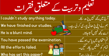 Sentences about Education and Training in Urdu learn common English sentences in Urdu and Hindi to talk about education and training for enhancing your English speaking skills.