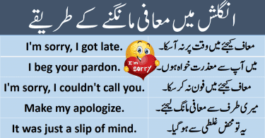 Sentences for Pardon and sorry with Urdu Translation learn commonly used English sentences to say sorry with Urdu and Hindi translation