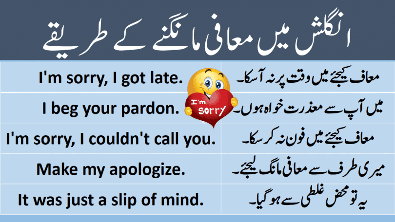 Sentences for Pardon and sorry with Urdu Translation learn commonly used English sentences to say sorry with Urdu and Hindi translation