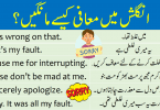 Ways to Say I Am Sorry in English with Urdu learn how to say sorry using different sentences and useful phrases in English