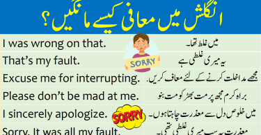 Ways to Say I Am Sorry in English with Urdu learn how to say sorry using different sentences and useful phrases in English