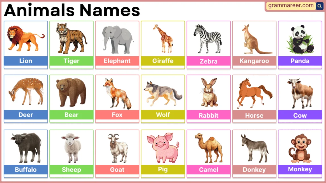 Animal names in English with pictures for beginners