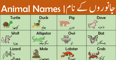 Animal Names | Types of Animals with Urdu Meanings
