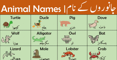 Animal Names | Types of Animals with Urdu Meanings