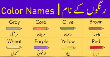 Color Names | List of Colours in English with Urdu Meanings