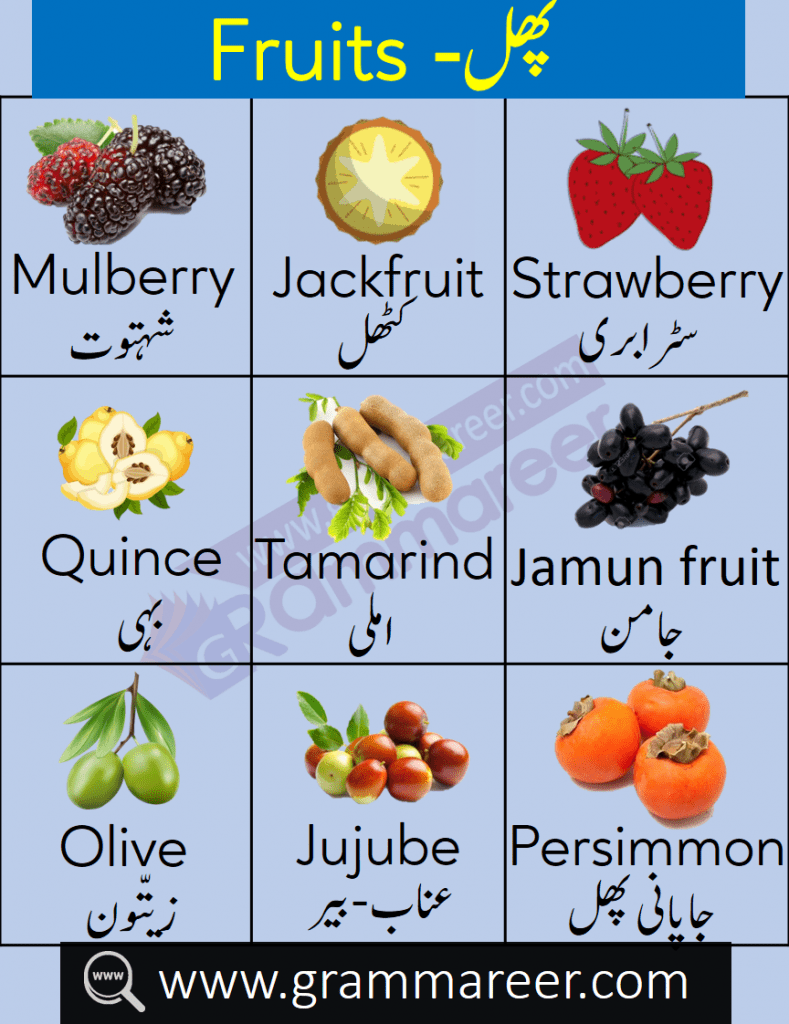 Fruits Names Vocabulary In English With Urdu Meanings AW, 41 OFF